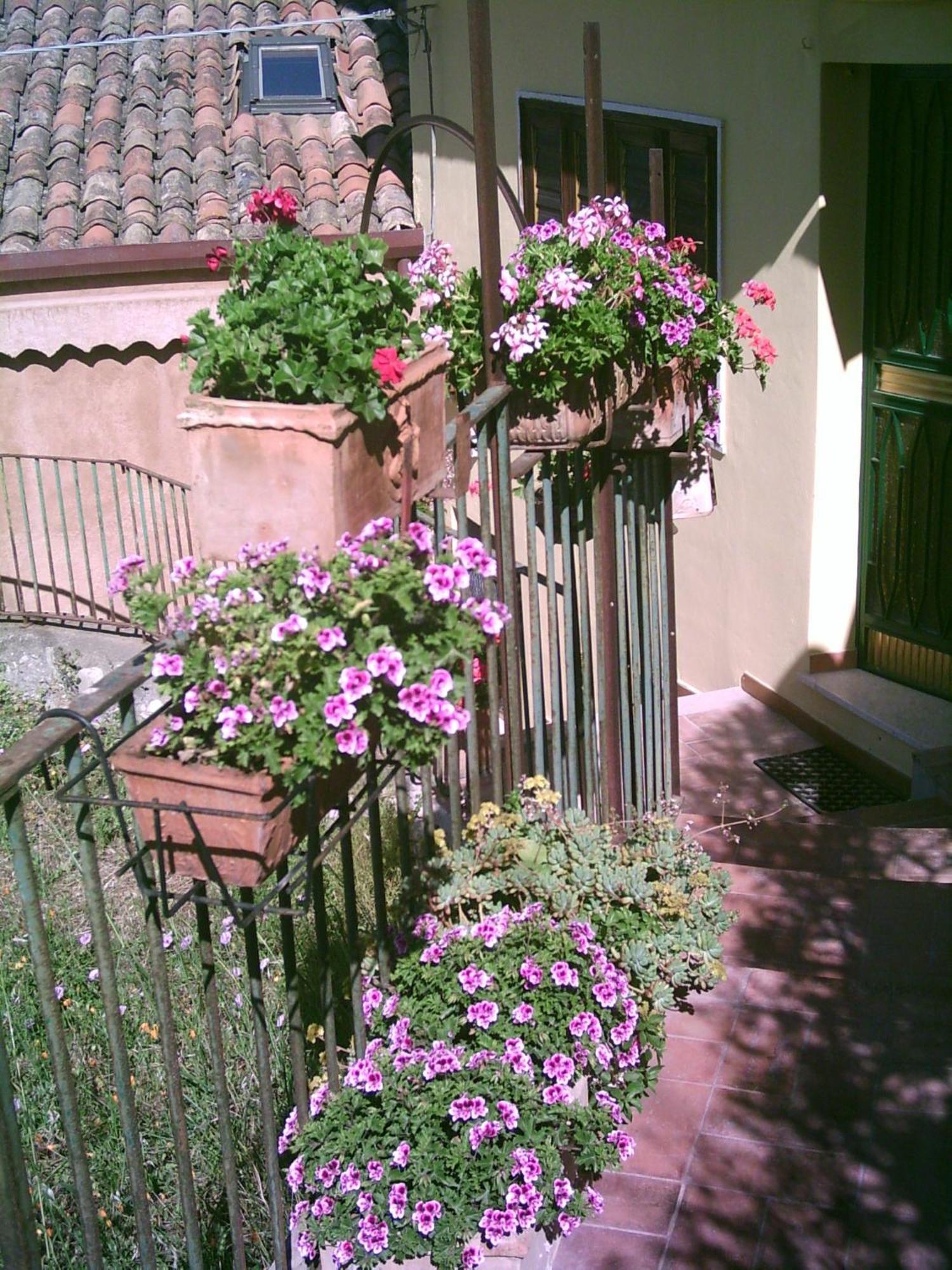 B&B U Palmentu Taormina Bagian luar foto